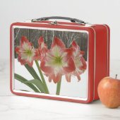 Amaryllis in Snow Red Holiday Winter Floral (In situ)