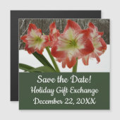 Amaryllis in Snow Red Holiday Winter Floral (Voorkant / Achterkant)