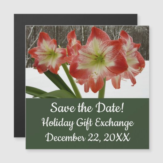 Amaryllis in Snow Red Holiday Winter Floral (Voorkant / Achterkant)