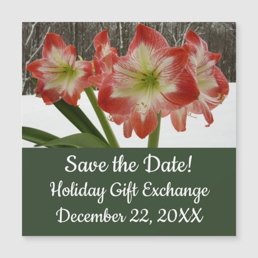 Amaryllis in Snow Red Holiday Winter Floral (Voorkant)