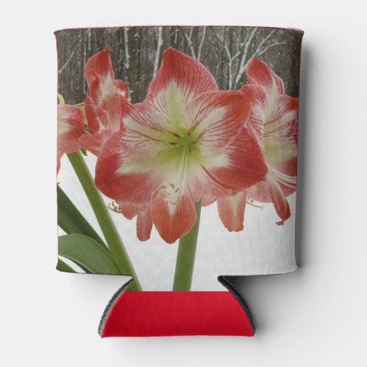 Amaryllis in Snow Red Holiday Winter Floral Blikjeskoeler (Voorkant)