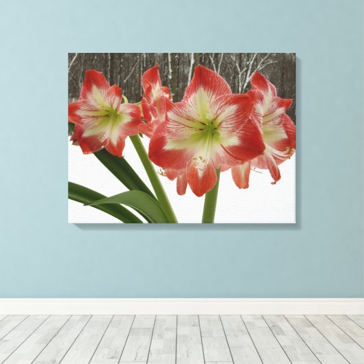 Amaryllis in Snow Red Holiday Winter Floral Canvas Afdruk (Insitu (Houten vloer))