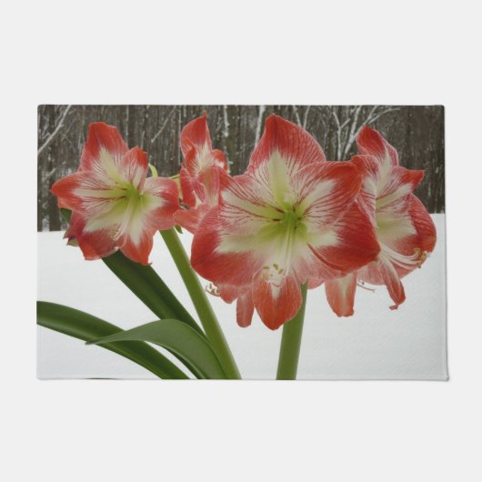 Amaryllis in Snow Red Holiday Winter Floral Deurmat (Voorkant)