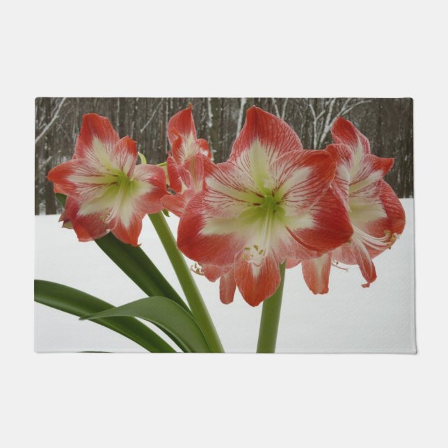 Amaryllis in Snow Red Holiday Winter Floral Deurmat (Voorkant)