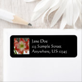 Amaryllis in Snow Red Holiday Winter Floral Etiket (Insitu)