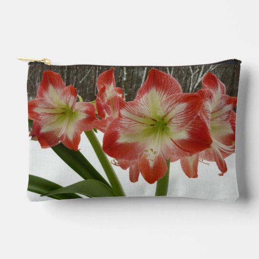 Amaryllis in Snow Red Holiday Winter Floral Etui (Voorkant)
