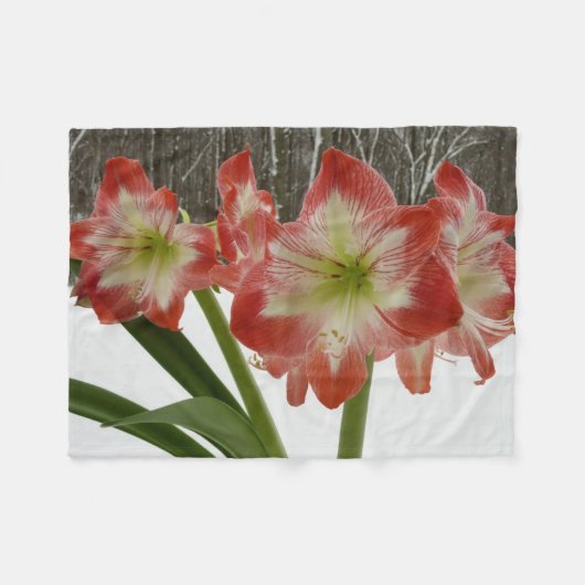Amaryllis in Snow Red Holiday Winter Floral Fleece Deken (Voorkant (Horizontaal))