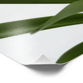 Amaryllis in Snow Red Holiday Winter Floral Foto Afdruk (Hoek)