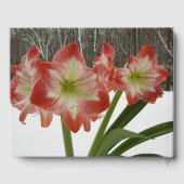 Amaryllis in Snow Red Holiday Winter Floral Gastenboek (Achterkant)