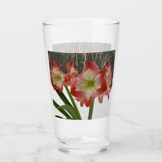 Amaryllis in Snow Red Holiday Winter Floral Glas (Voorkant)