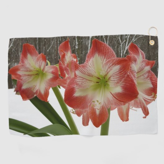 Amaryllis in Snow Red Holiday Winter Floral Golfhanddoek (Horizontaal)