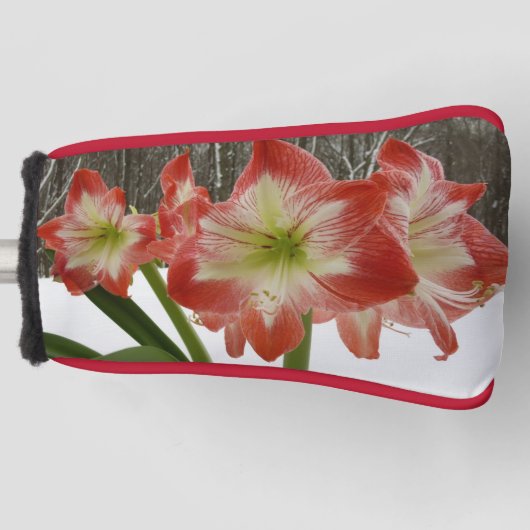 Amaryllis in Snow Red Holiday Winter Floral Golfheadcover (Voorkant)