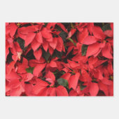 Amaryllis in Snow Red Holiday Winter Floral Inpakpapier Vel (Voorkant 2)