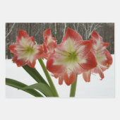 Amaryllis in Snow Red Holiday Winter Floral Inpakpapier Vel (Voorkant)