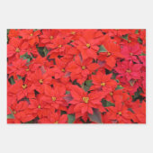 Amaryllis in Snow Red Holiday Winter Floral Inpakpapier Vel (Voorkant 3)