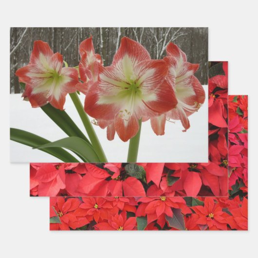 Amaryllis in Snow Red Holiday Winter Floral Inpakpapier Vel (Set)