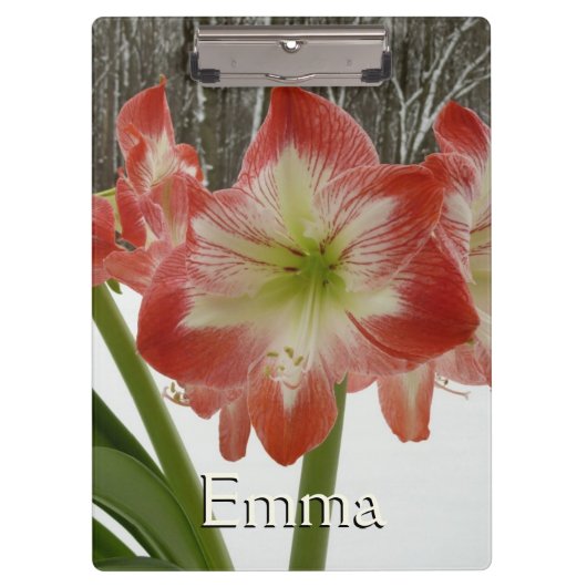 Amaryllis in Snow Red Holiday Winter Floral Klembord (Voorkant)