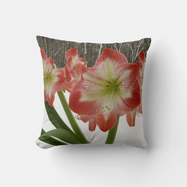 Amaryllis in Snow Red Holiday Winter Floral Kussen (Voorkant)