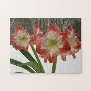 Amaryllis in Snow Red Holiday Winter Floral Legpuzzel