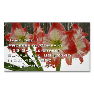 Amaryllis in Snow Red Holiday Winter Floral Magnetisch Visitekaartje