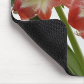 Amaryllis in Snow Red Holiday Winter Floral Muismat (Hoek)