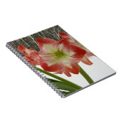 Amaryllis in Snow Red Holiday Winter Floral Notitieboek (Rechterzijde)