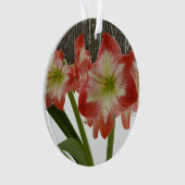 Amaryllis in Snow Red Holiday Winter Floral Ornament (voorkant)