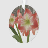 Amaryllis in Snow Red Holiday Winter Floral Ornament (voorkant)