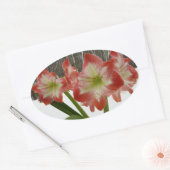 Amaryllis in Snow Red Holiday Winter Floral Ovale Sticker (Envelop)