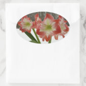 Amaryllis in Snow Red Holiday Winter Floral Ovale Sticker (Tas)