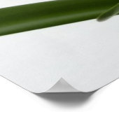 Amaryllis in Snow Red Holiday Winter Floral Poster (Hoek)