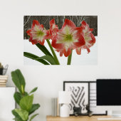 Amaryllis in Snow Red Holiday Winter Floral Poster (Thuiskantoor)