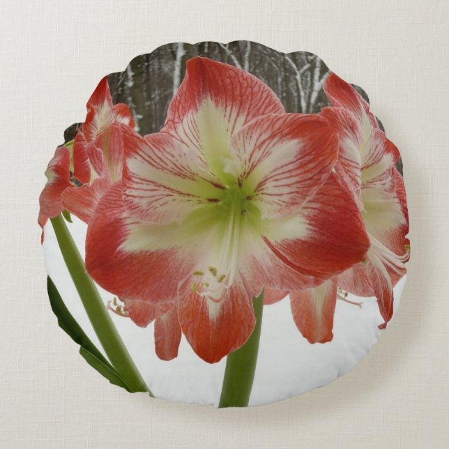 Amaryllis in Snow Red Holiday Winter Floral Rond Kussen (Voorkant)