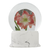 Amaryllis in Snow Red Holiday Winter Floral Sneeuwbol (Achterkant)