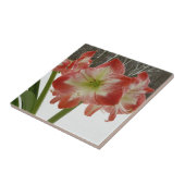 Amaryllis in Snow Red Holiday Winter Floral Tegeltje (Zijkant)