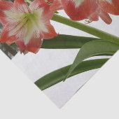 Amaryllis in Snow Red Holiday Winter Floral Tissuepapier (Detail)