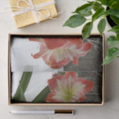 Amaryllis in Snow Red Holiday Winter Floral Tissuepapier (Geschenk)