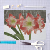 Amaryllis in Snow Red Holiday Winter Floral Tissuepapier (Craft)