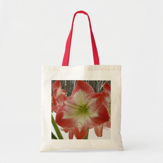 Amaryllis in Snow Red Holiday Winter Floral Tote Bag (Voorkant)