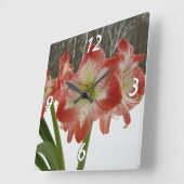 Amaryllis in Snow Red Holiday Winter Floral Vierkante Klok (Hoek)