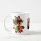 Amaryllis Kerst Mok (Links)