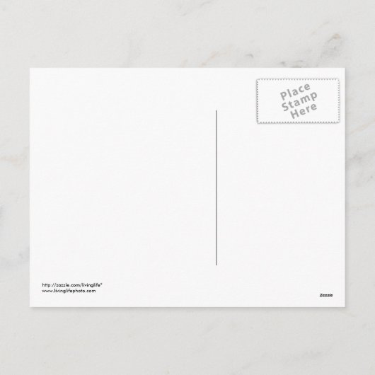 Amaryllis-kerstBriefkaart Feestdagenkaart (Achterkant)