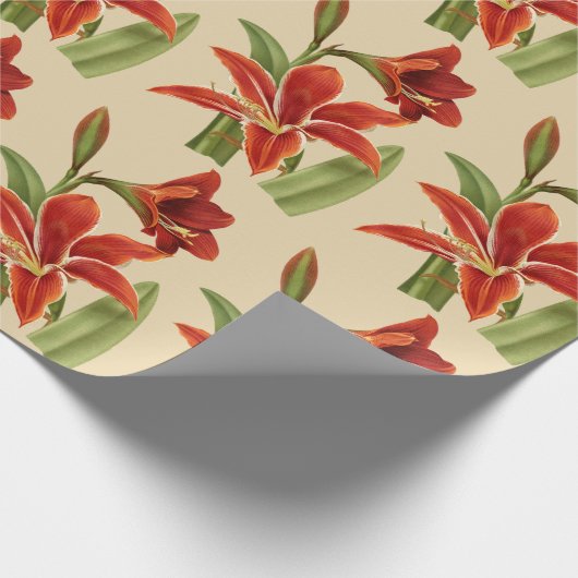 Amaryllis kerstmis (Lg. Afbeelding) Cadeaupapier (Hoek)