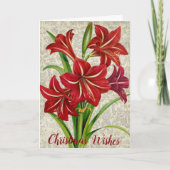 Amaryllis, kerstwensen. feestdagen kaart (Voorkant)