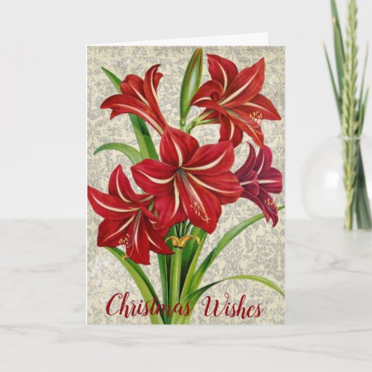 Amaryllis, kerstwensen. feestdagen kaart (Voorkant)
