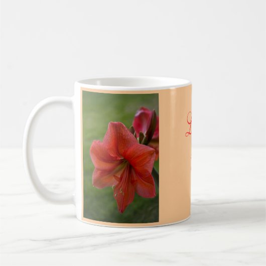 Amaryllis Koffiemok (Links)