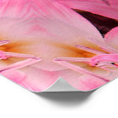 Amaryllis Love... Poster (Hoek)