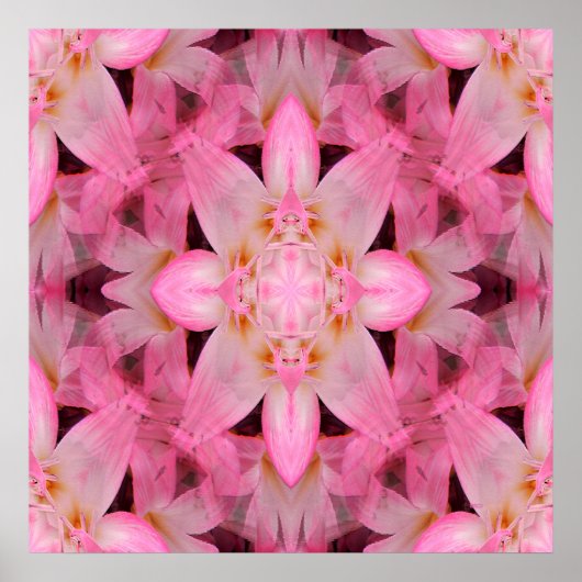 Amaryllis Love... Poster (Voorkant)