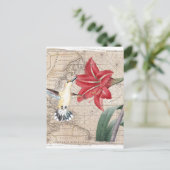 Amaryllis Mao Hummer Briefkaart (Staand voorkant)