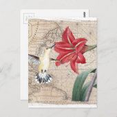 Amaryllis Mao Hummer Briefkaart (Voorkant / Achterkant)